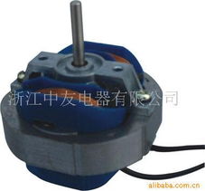浙江中友电器家用电器用电动机产品列表与研发概述